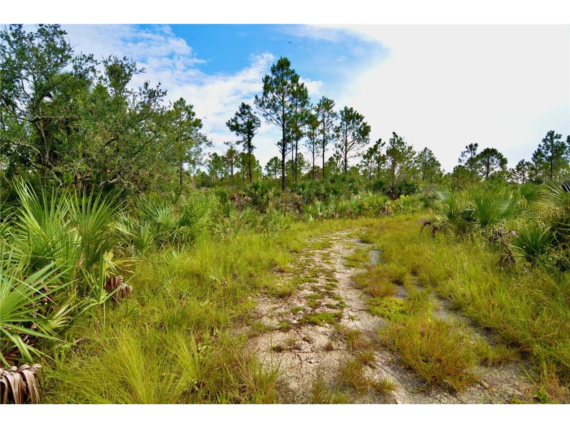 00 Adams Beach Road Perry FL 32348 OM708414 image14