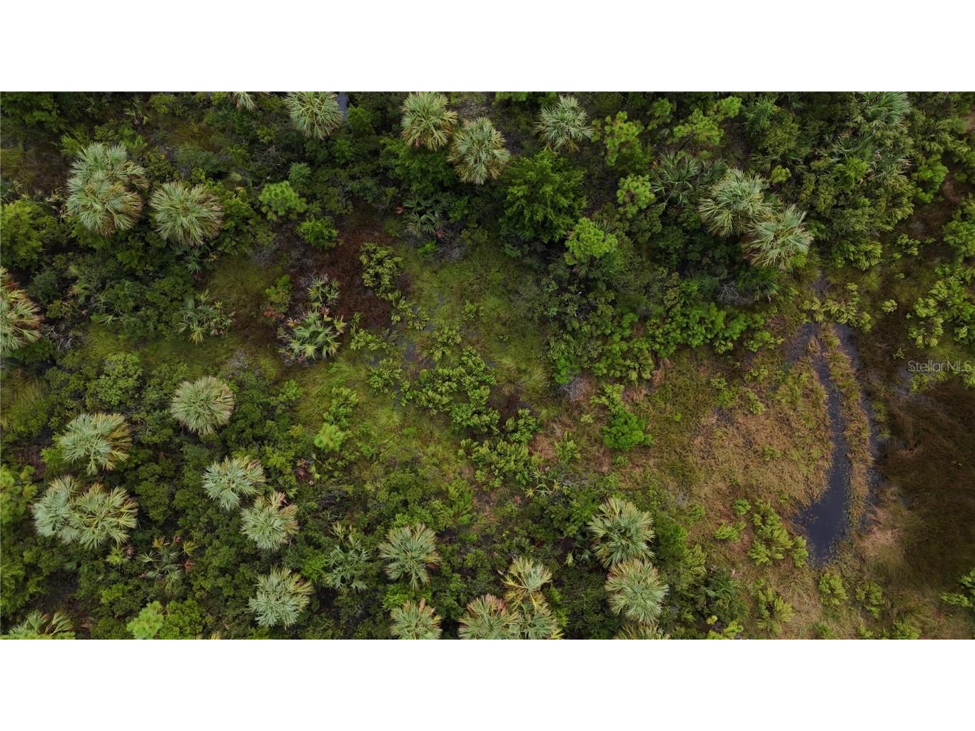 00 Adams Beach Road Perry FL 32348 OM708414 image18