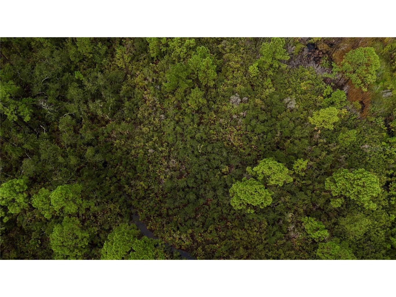 00 Adams Beach Road Perry FL 32348 OM708414 image19