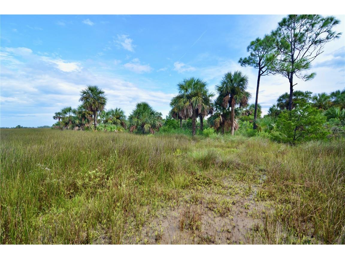 00 Adams Beach Road Perry FL 32348 OM708414 image2