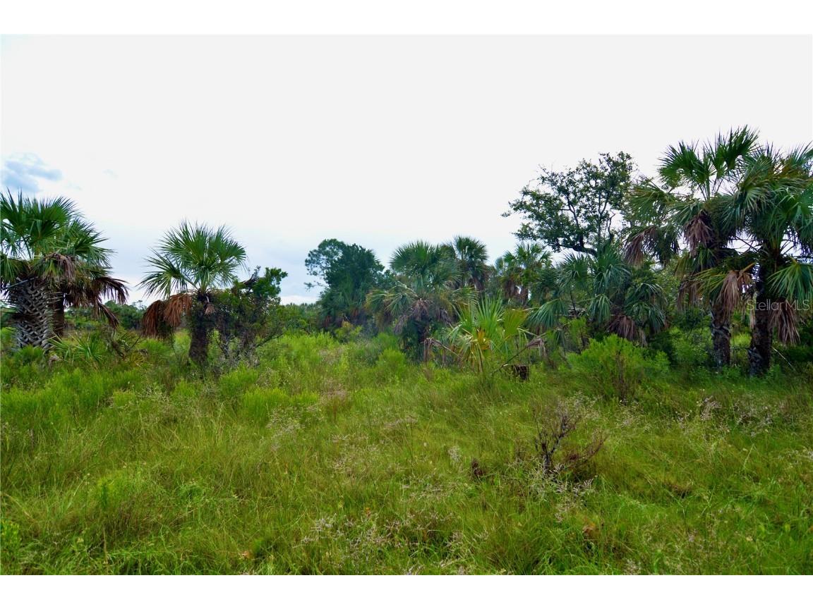 00 Adams Beach Road Perry FL 32348 OM708414 image24