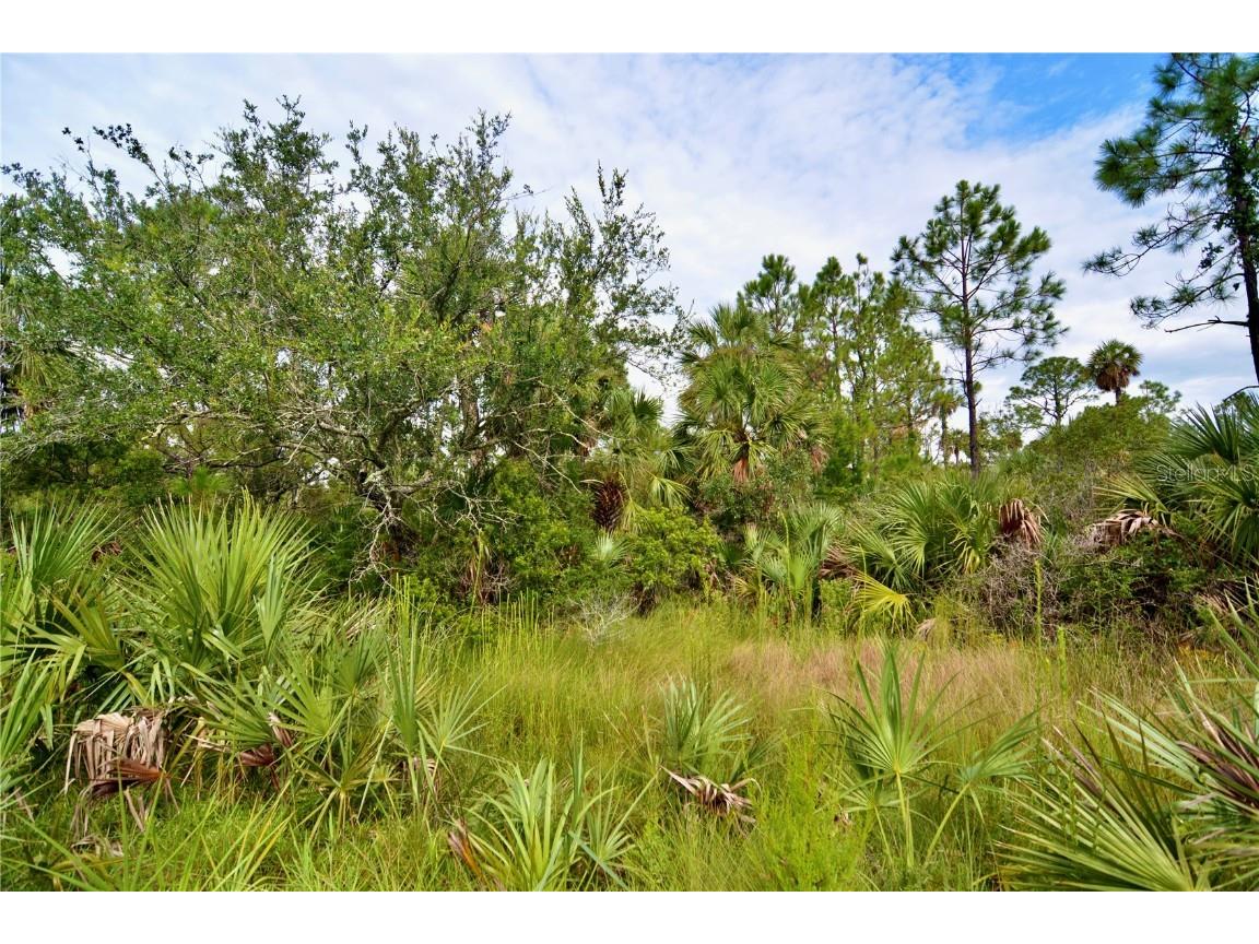 00 Adams Beach Road Perry FL 32348 OM708414 image26