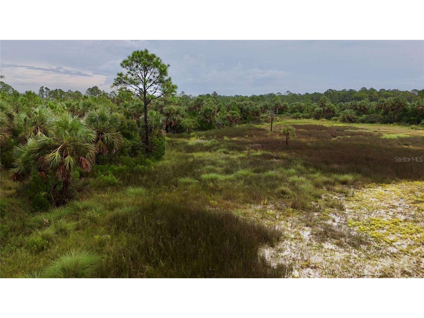 00 Adams Beach Road Perry FL 32348 OM708414 image28