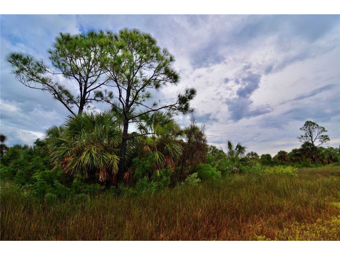 00 Adams Beach Road Perry FL 32348 OM708414 image3