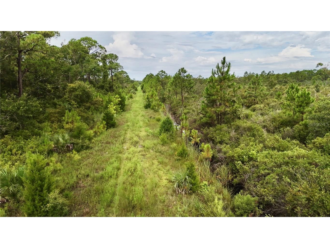 00 Adams Beach Road Perry FL 32348 OM708414 image4