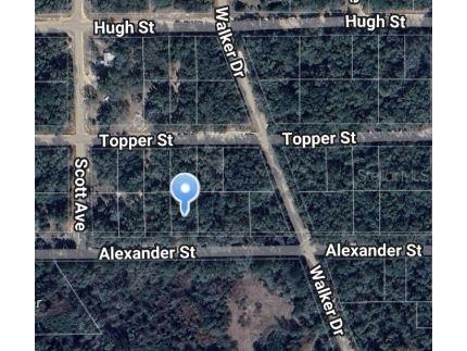 00 Alexander Street Interlachen FL 32148 OM697013 image1