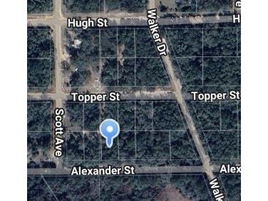 00 Alexander Street Interlachen FL 32148 OM697014 image1