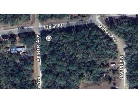 00 Annette Avenue Interlachen FL 32148 OM696580 image2