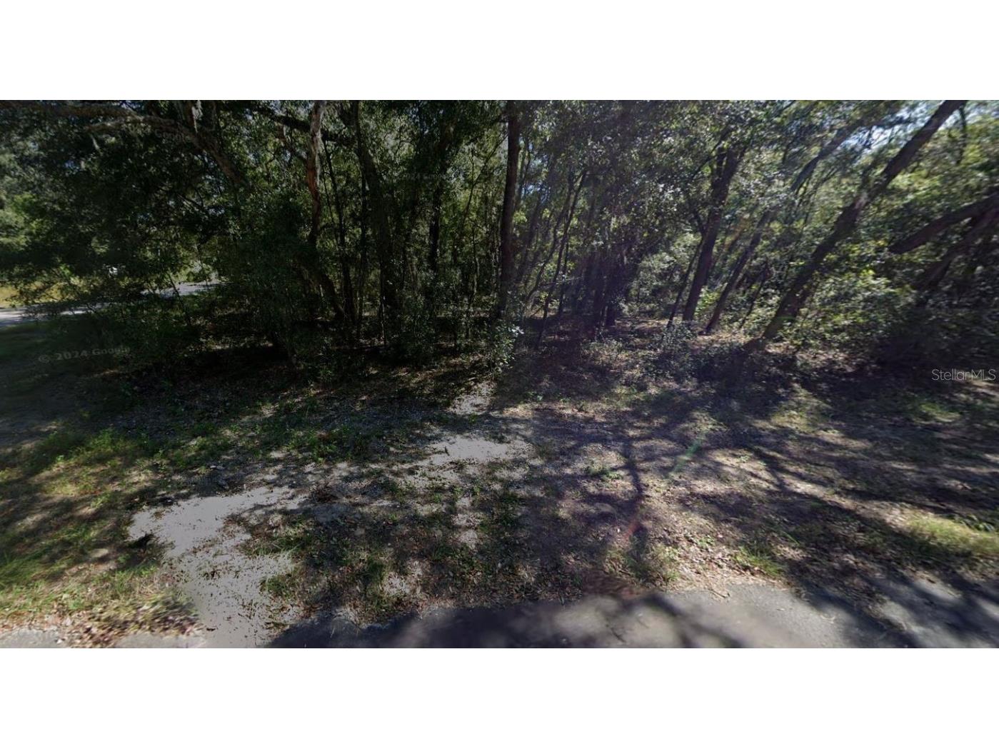 00 Annette Avenue Interlachen FL 32148 OM696580 image3