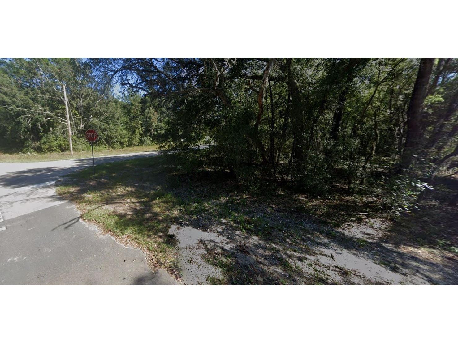 00 Annette Avenue Interlachen FL 32148 OM696580 image4