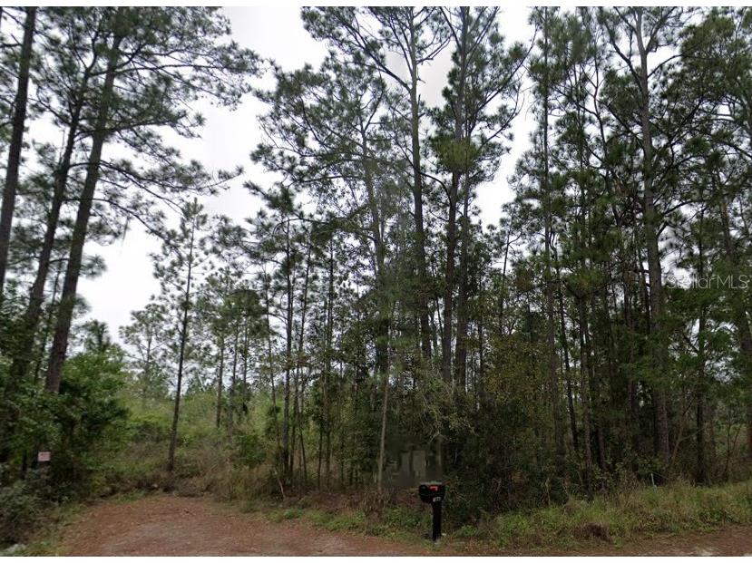 00 Apache Trail Kissimmee FL 34747 O6264735 image1