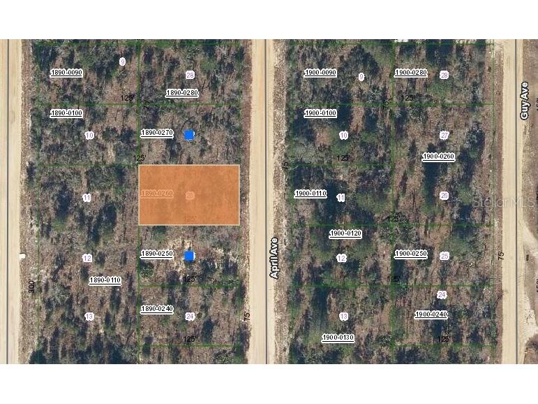 00 April Avenue Interlachen FL 32148 OM696573 image1