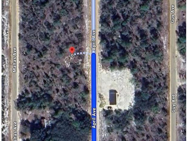 00 April Avenue Interlachen FL 32148 OM696573 image2