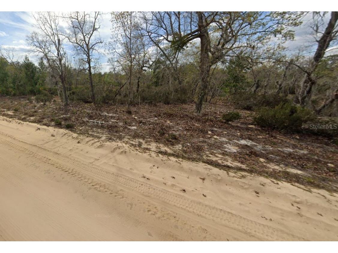 00 April Avenue Interlachen FL 32148 OM696573 image4