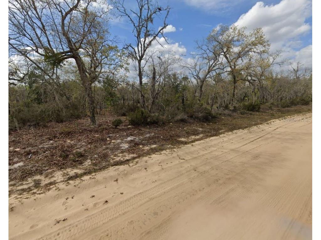 00 April Avenue Interlachen FL 32148 OM696573 image5