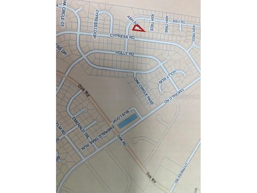 00 Ash Radial Ocala FL 34472 OM655187 image1