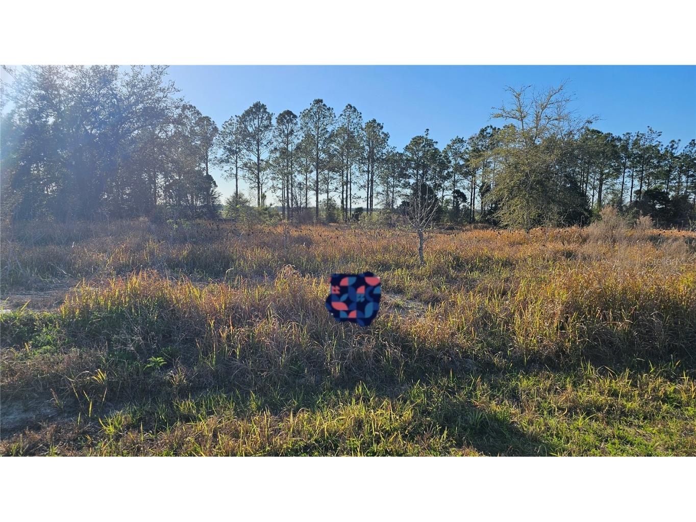 00 Ash Road Ocala FL 34472 OM697327 image1