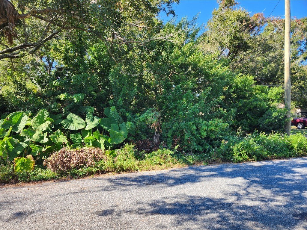 00 Atis Street #LOT9 New Port Richey FL 34653 W7881175 image2