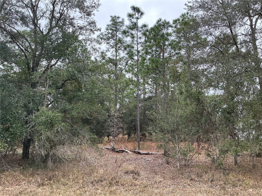 00 Avalon Road Dunnellon FL 34431 OM693726 image1