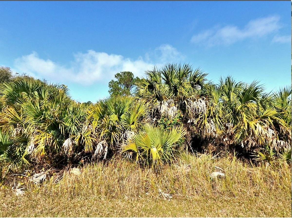 00 Bannock Circle North Port FL 34288 O6369935 image2