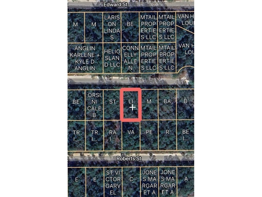 00 Basford St Interlachen FL 32148 O6296710 image1