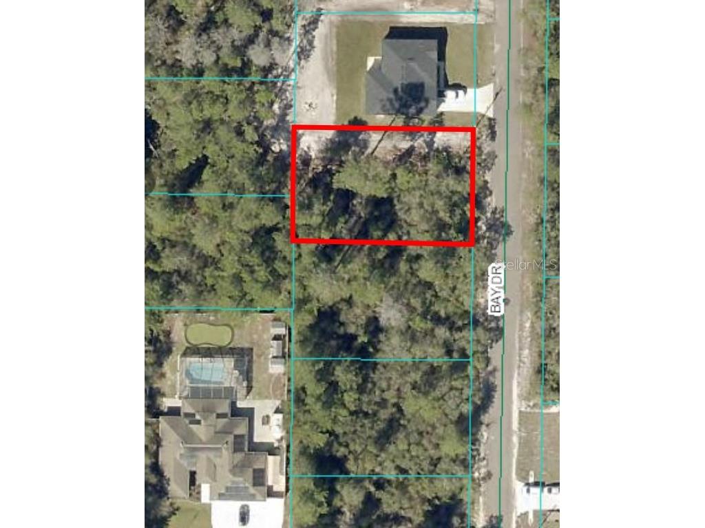 00 Bay Drive #LOT 19 Ocklawaha FL 32179 OM698435 image1