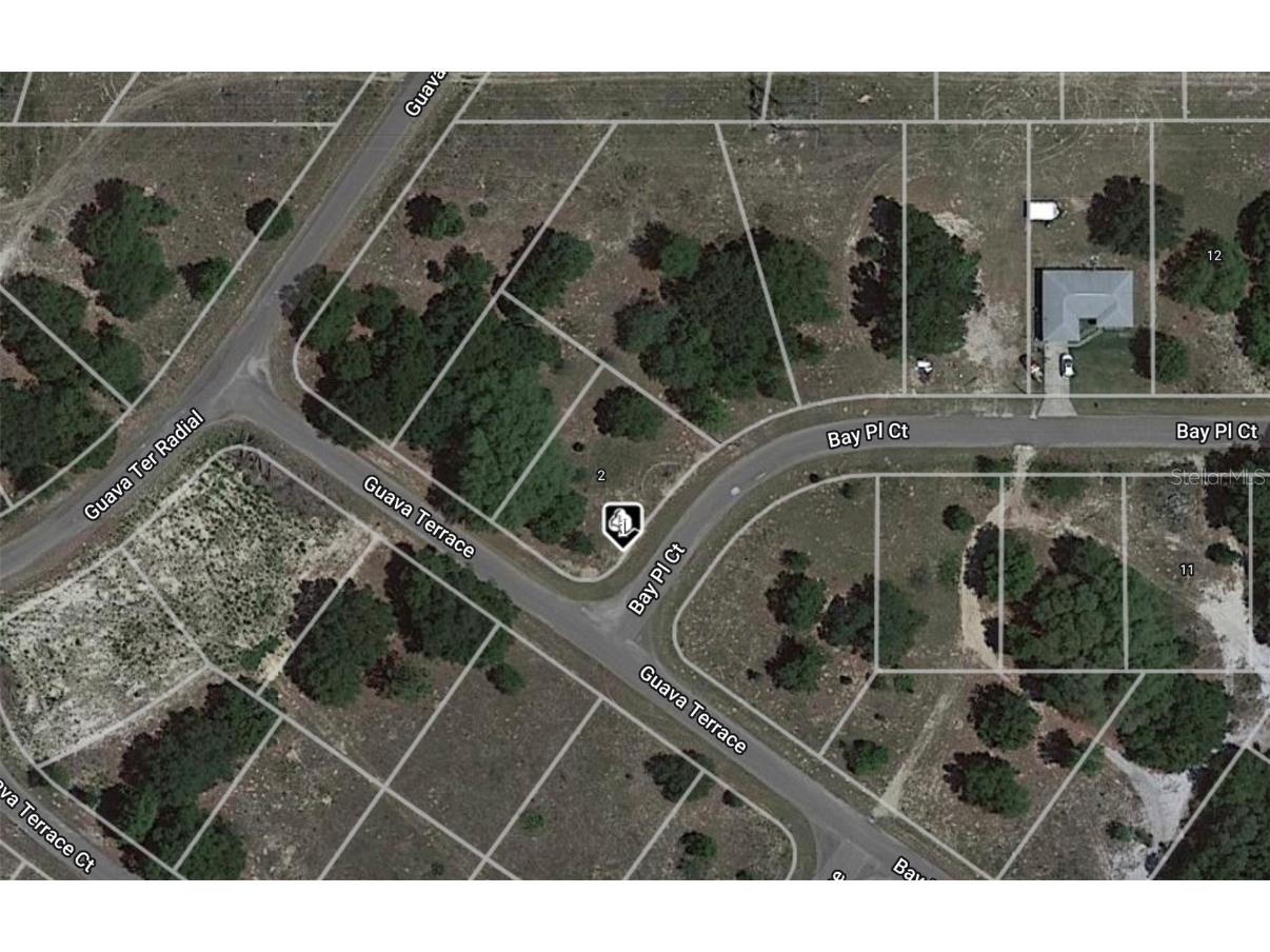 00 Bay Place Court Ocklawaha FL 32179 S5113482 image1