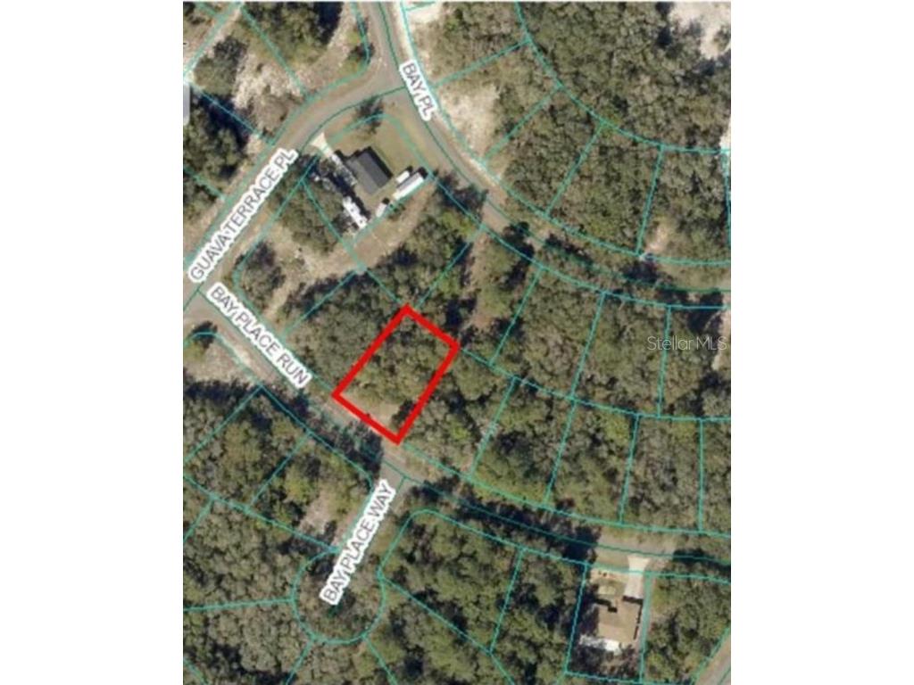 00 Bay Place Way Ocklawaha FL 32179 OM711595 image1