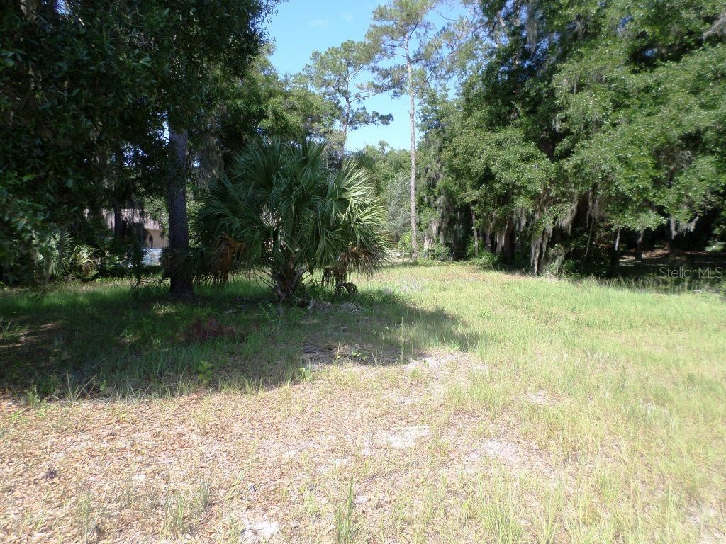 00 Blue Heron Ct Dunnellon FL 34432 - RAINBOW RIVER OM679697 image1