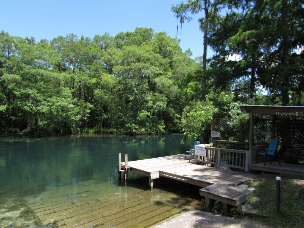 00 Blue Heron Ct Dunnellon FL 34432 - RAINBOW RIVER OM679697 image10