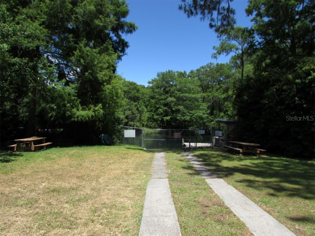 00 Blue Heron Ct Dunnellon FL 34432 - RAINBOW RIVER OM679697 image9