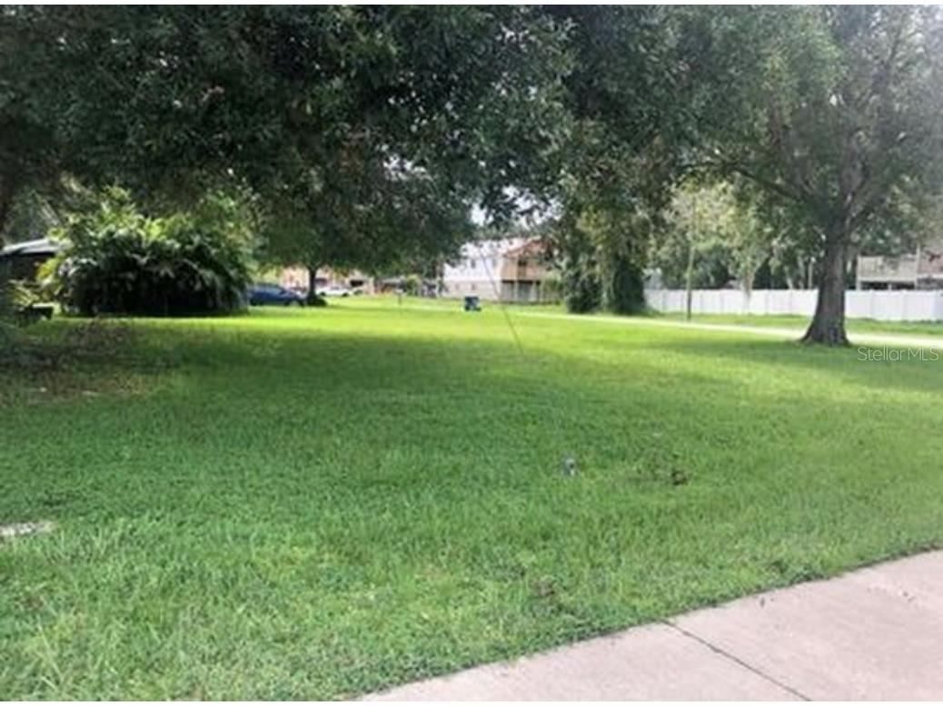 00 Buckingham Avenue Oldsmar FL 34677 O6175445 image1