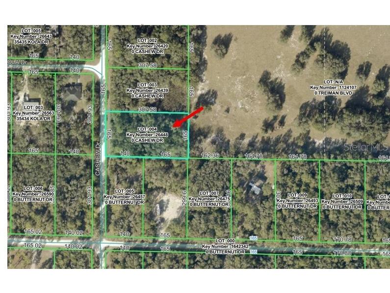 00 Cashew Drive Webster FL 33597 W7885153 image1