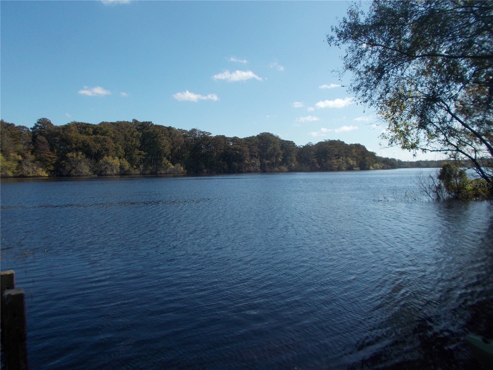 00 Cashew Drive Webster FL 33597 W7885153 image10