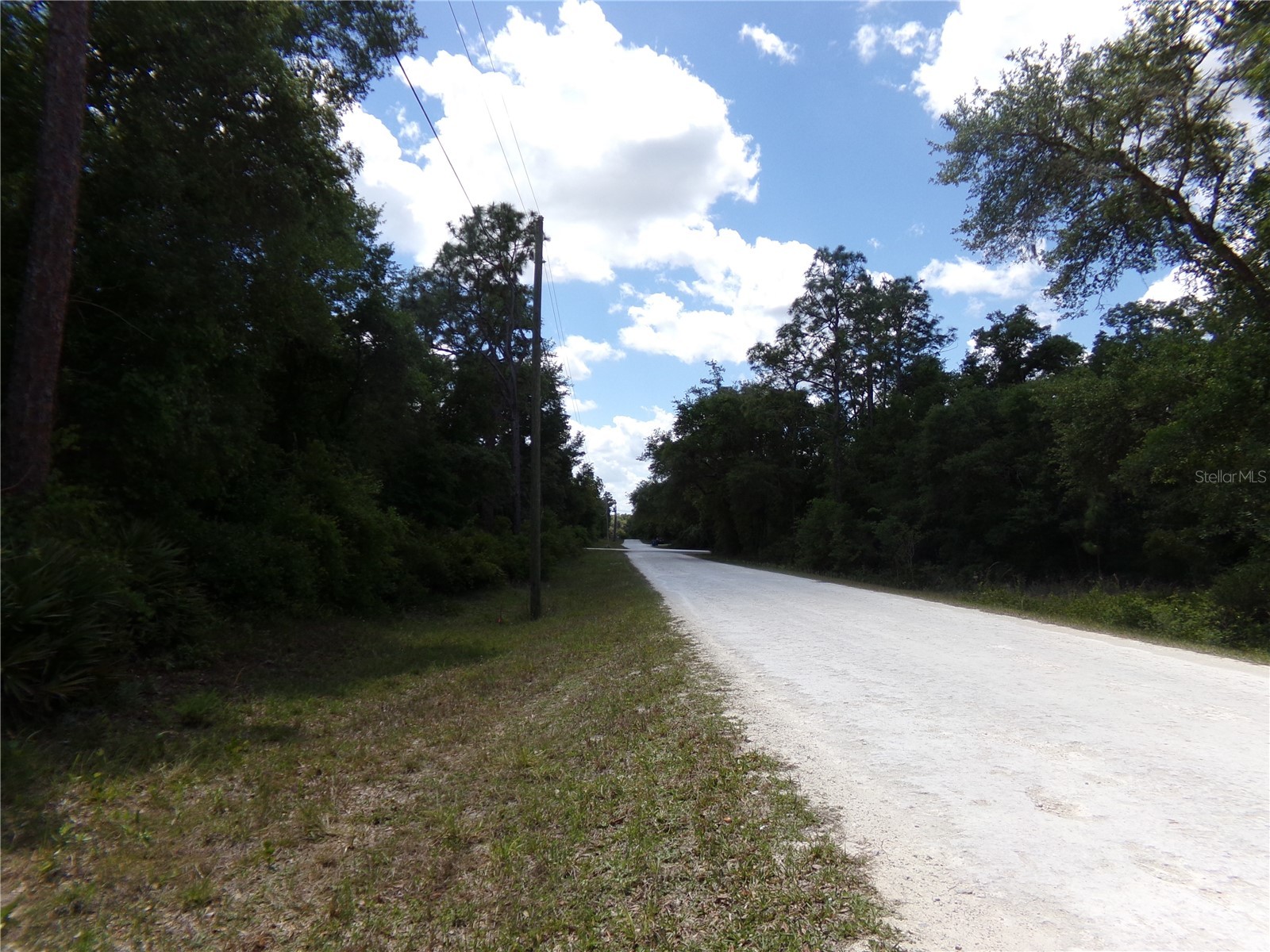 00 Cashew Drive Webster FL 33597 W7885153 image4