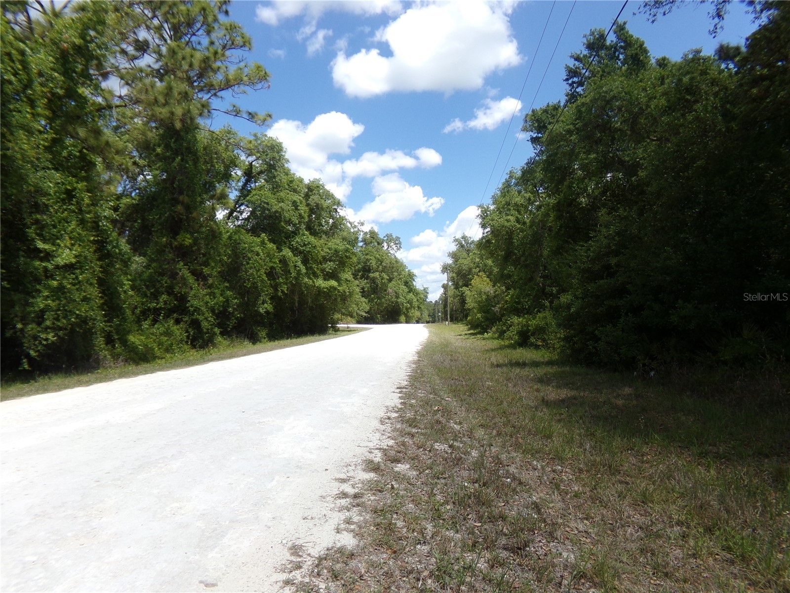 00 Cashew Drive Webster FL 33597 W7885153 image5