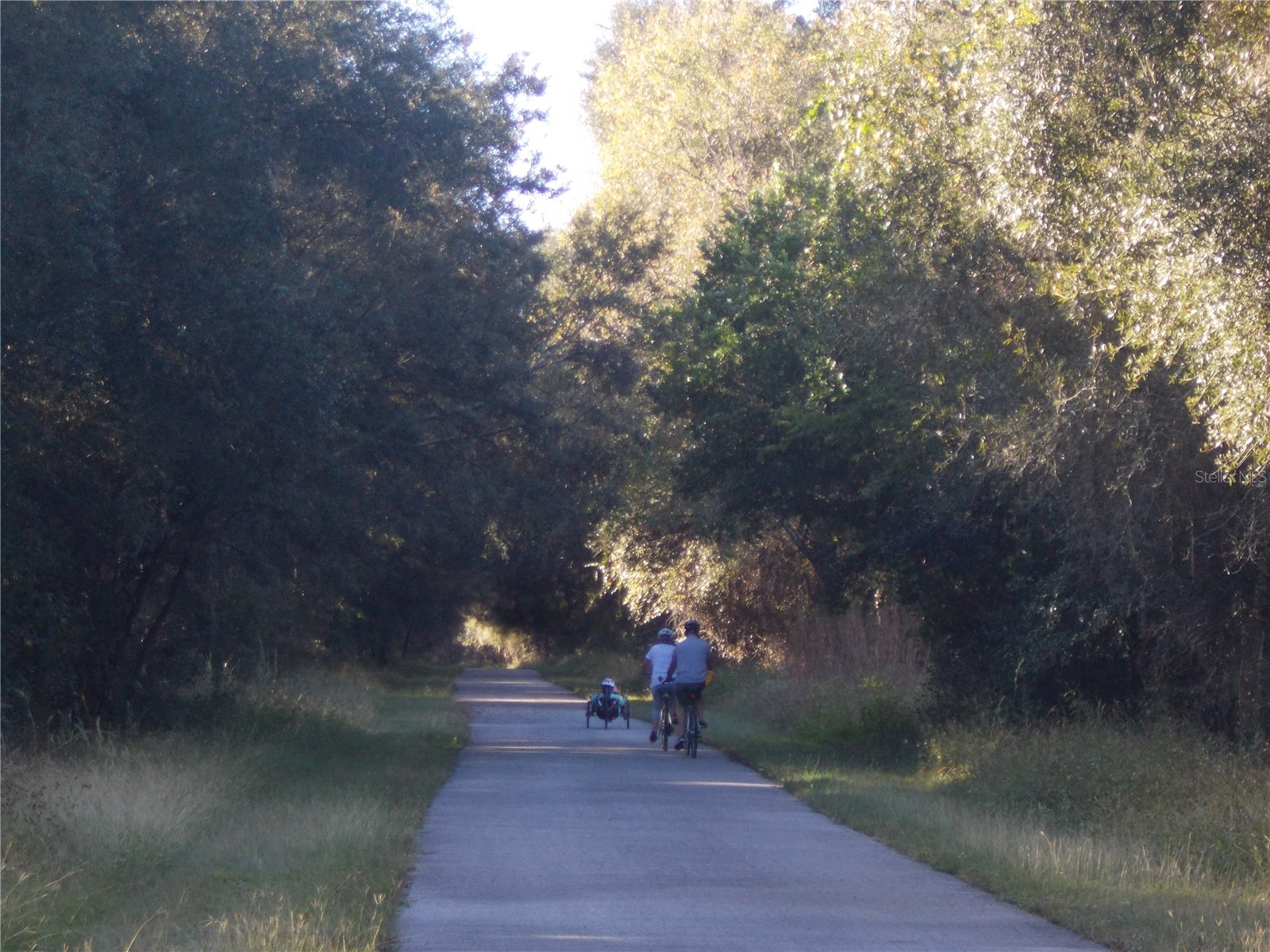 00 Cashew Drive Webster FL 33597 W7885153 image8