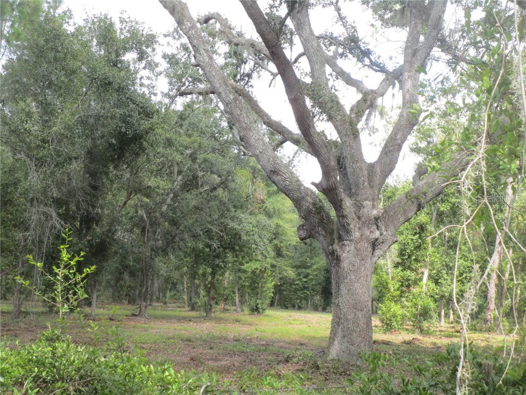 00 Castlewood Road Seffner FL 33584 TB8416552 image2