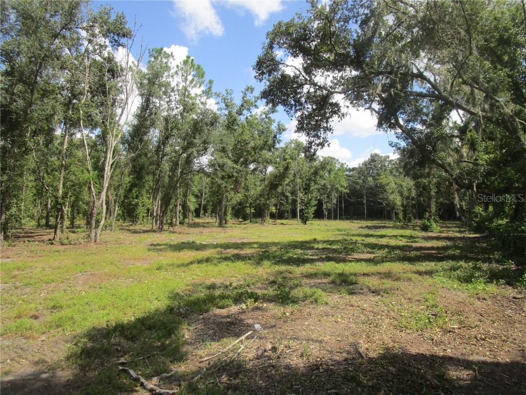 00 Castlewood Road Seffner FL 33584 TB8416552 image3