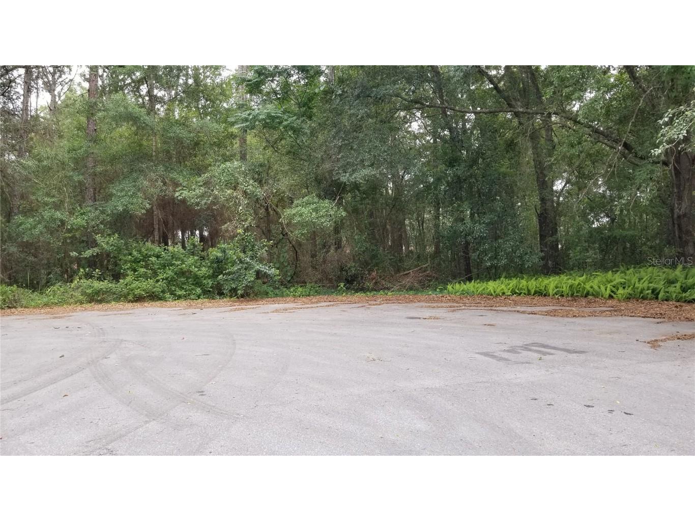 00 Cedar Tree Trace Ocala FL 34472 OM658915 image1