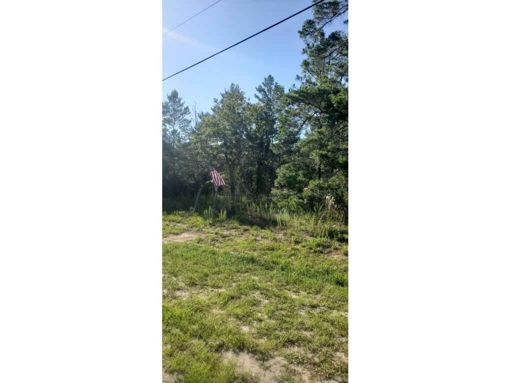 00 Centralia Road Weeki Wachee FL 34614 W7846853 image1