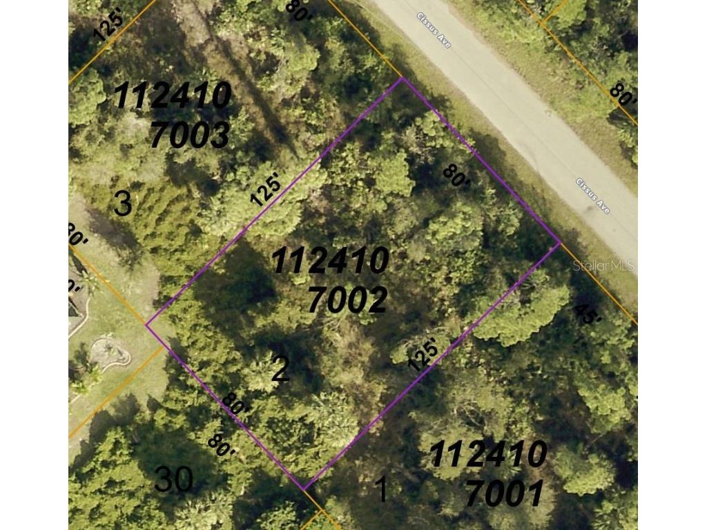 00 Cissus Avenue North Port FL 34288 OM681696 image1