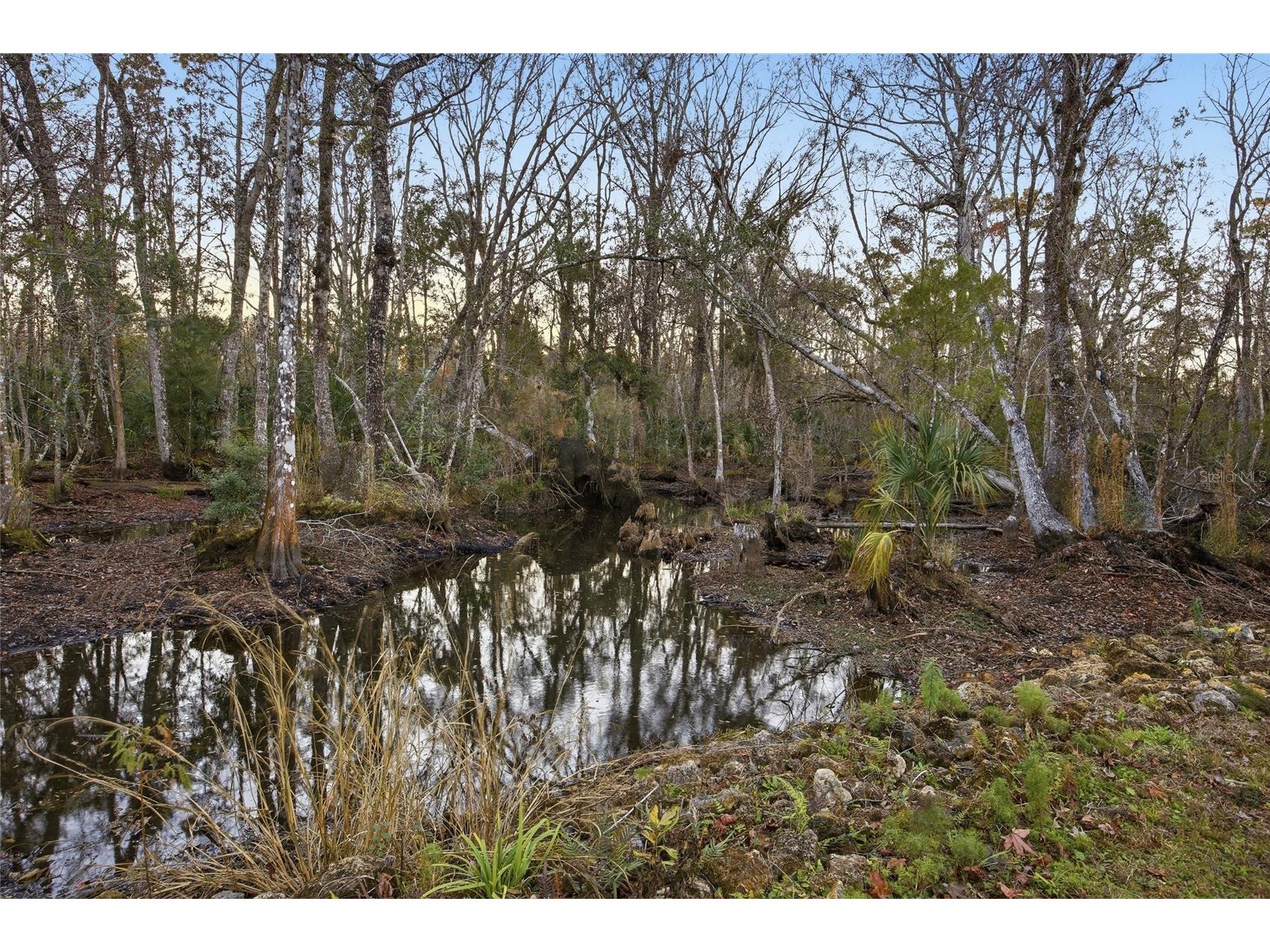 00 Clayton Road Cedar Key FL 32625 OM716937 image13