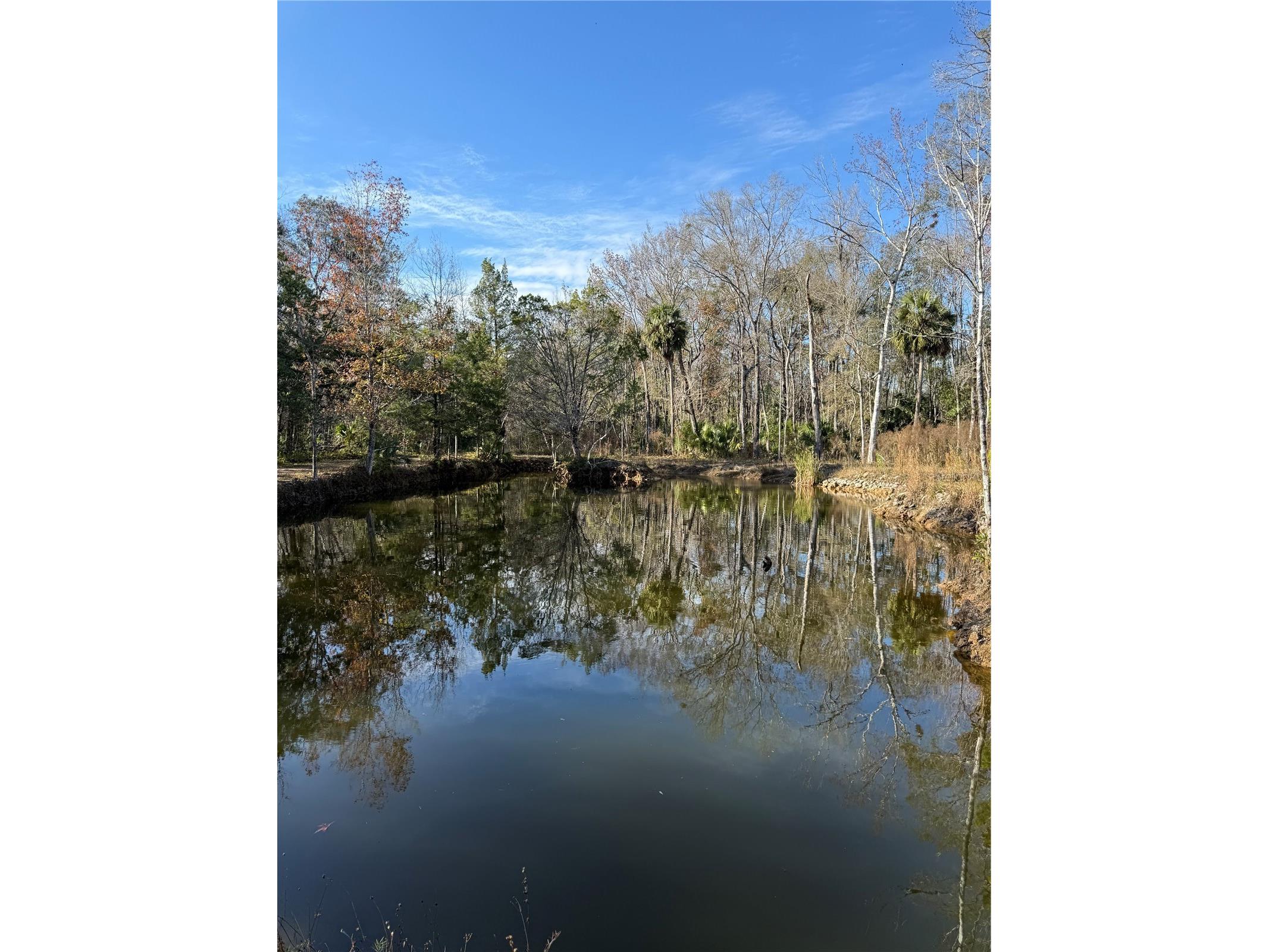 00 Clayton Road Cedar Key FL 32625 OM716937 image16