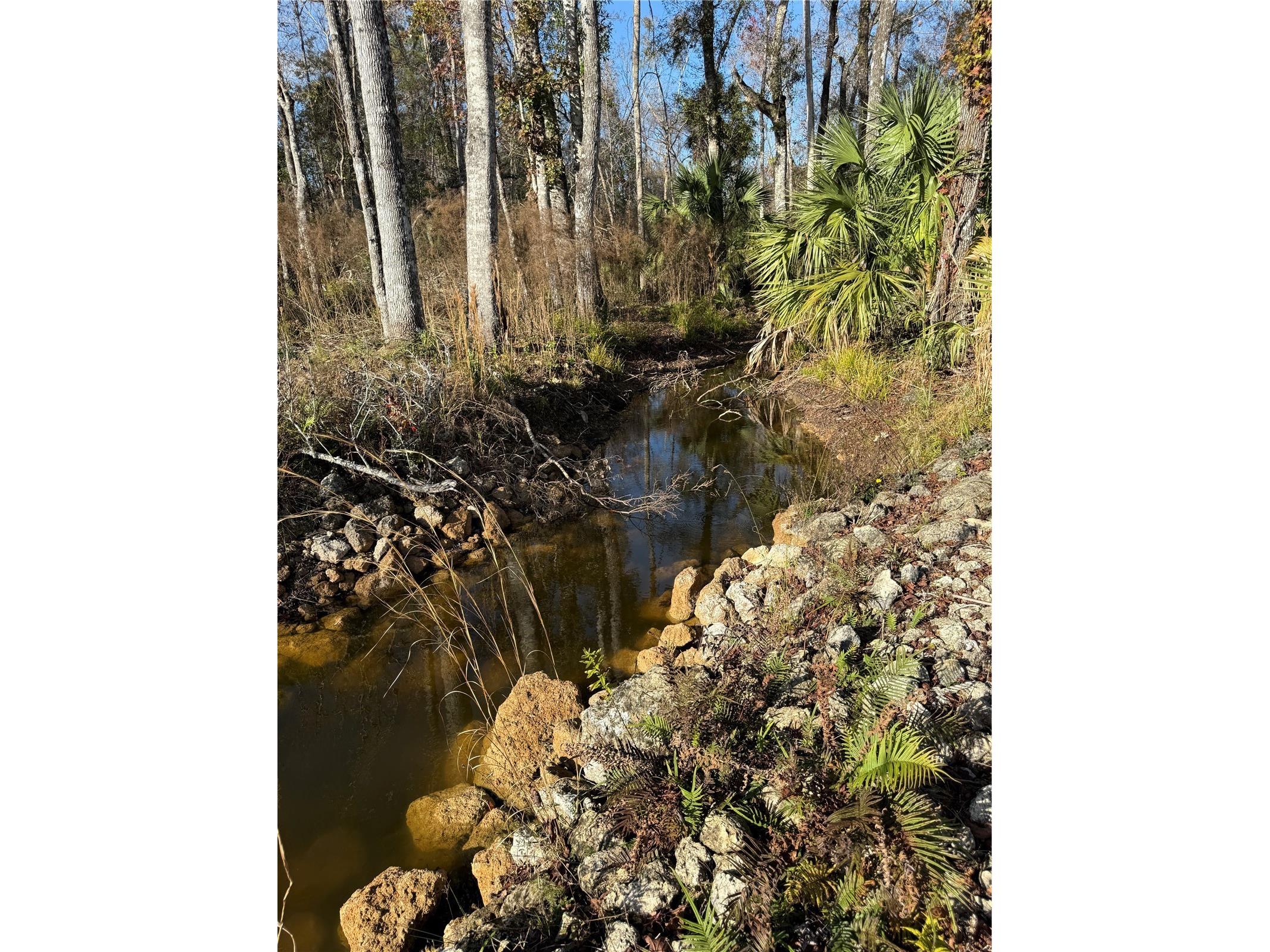 00 Clayton Road Cedar Key FL 32625 OM716937 image18