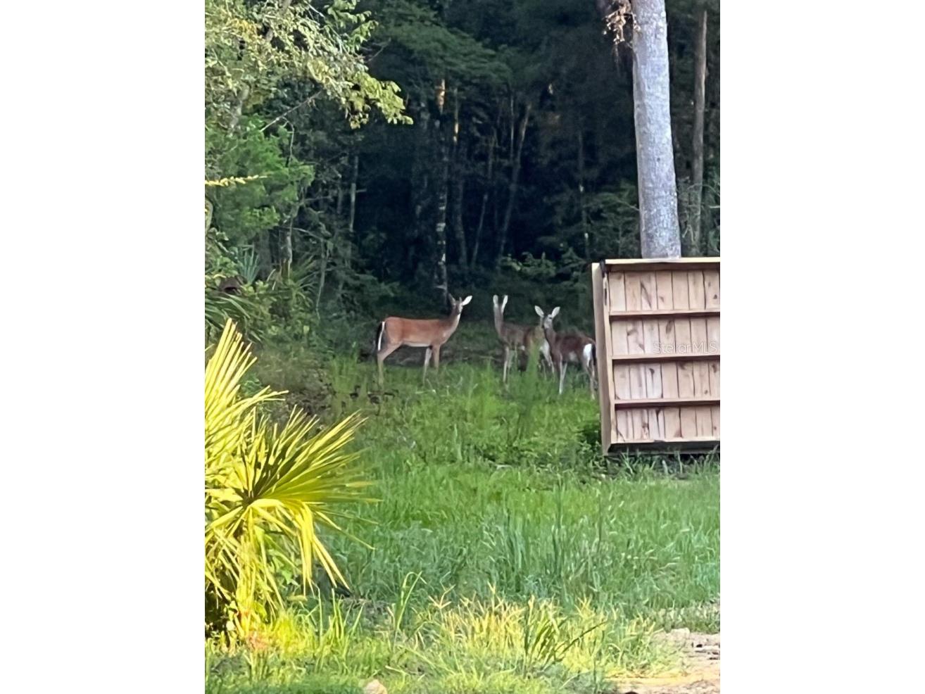 00 Clayton Road Cedar Key FL 32625 OM716937 image19