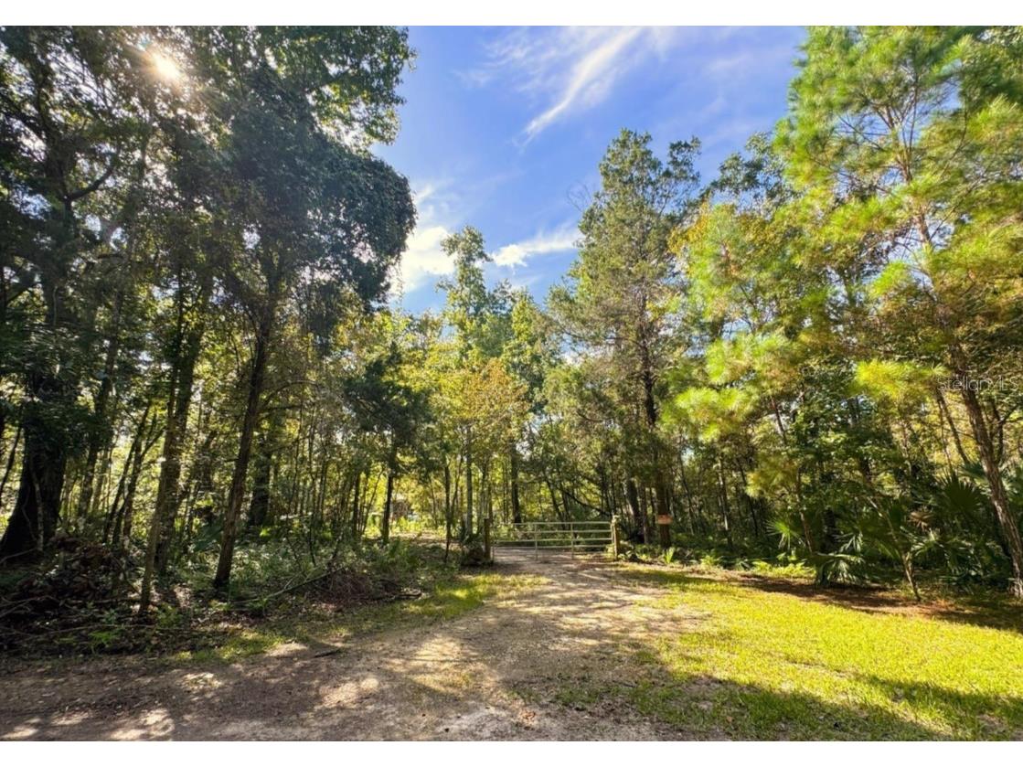 00 Clayton Road Cedar Key FL 32625 OM716937 image21