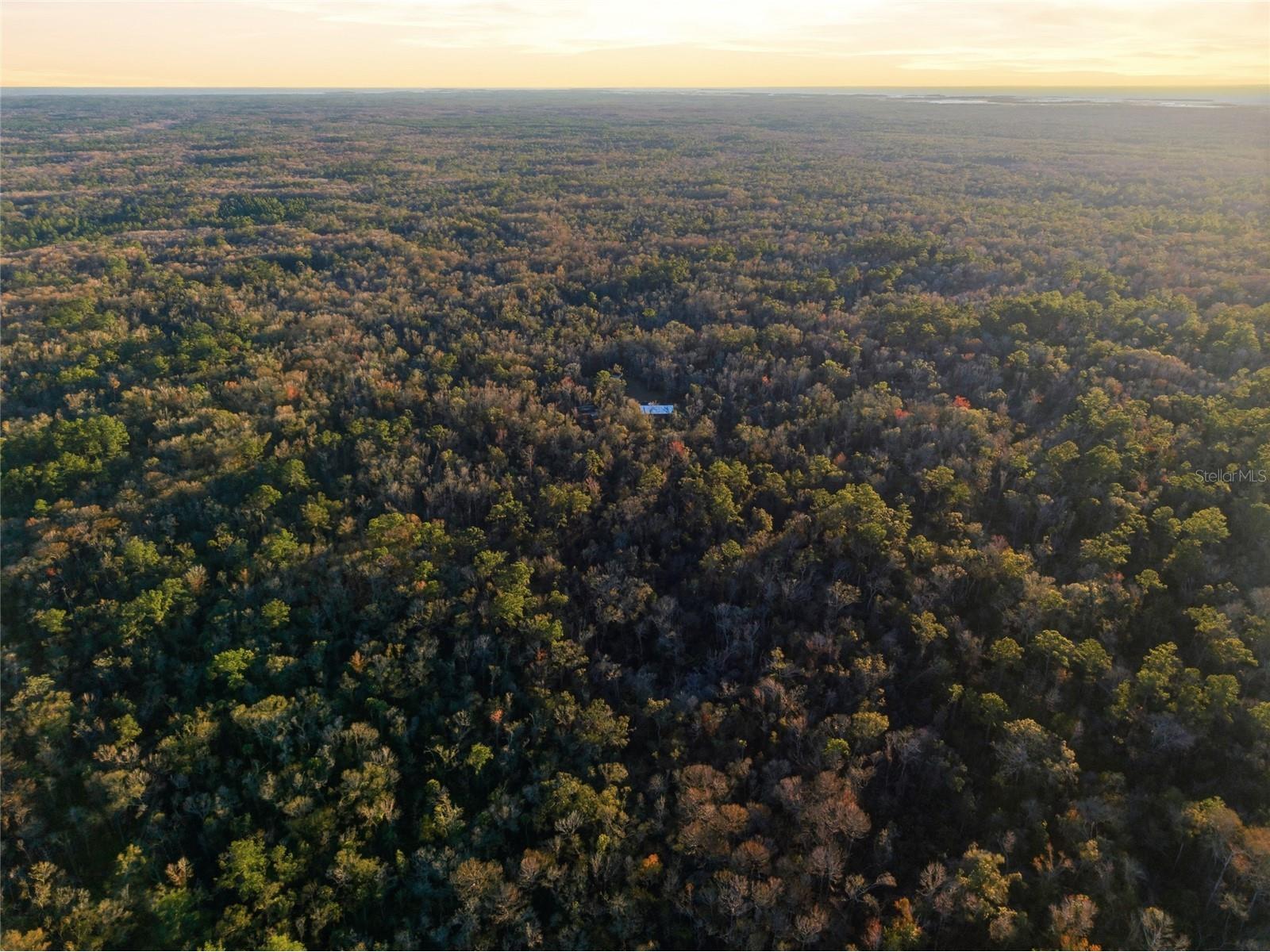 00 Clayton Road Cedar Key FL 32625 OM716937 image23