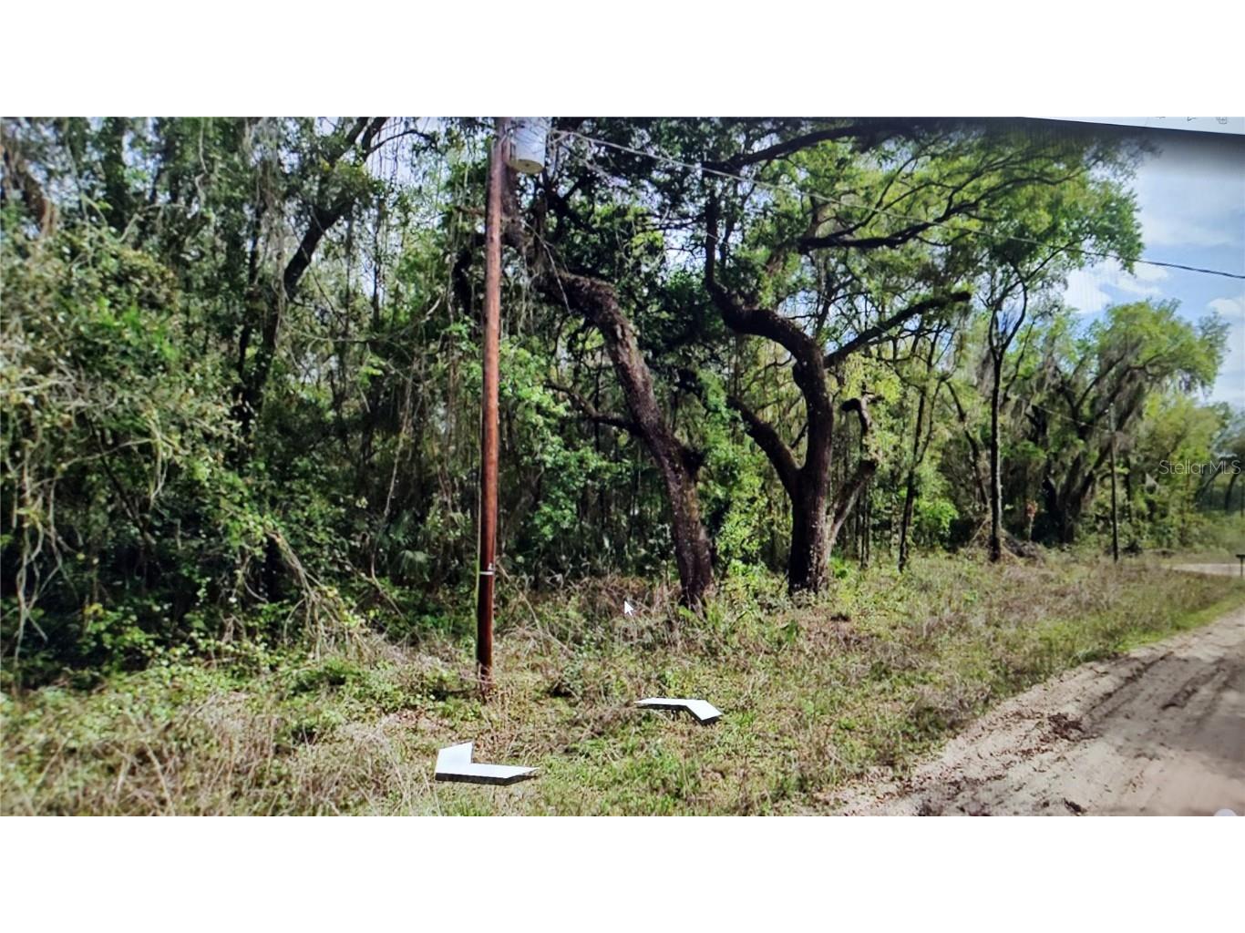 00 Clifford Street Interlachen FL 32148 NS1083501 image2