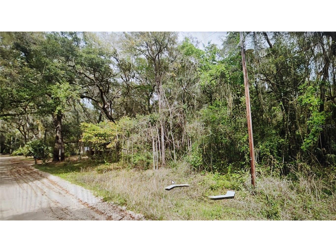 00 Clifford Street Interlachen FL 32148 NS1083501 image3